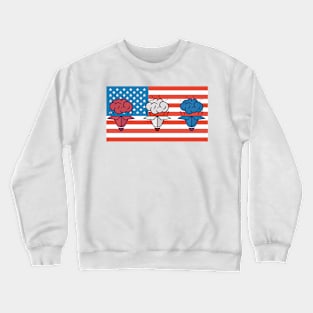 Unboxed Mind of America Crewneck Sweatshirt